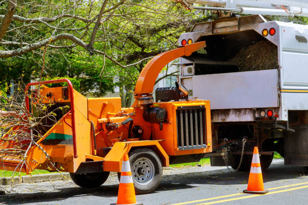 Best Professional Tree Care  in Mi Wuk Village, CA